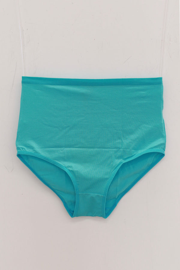 BASERANGE Bamboo fiber high waist flared briefs France BAS-UNHW-BL-SP25-CHARLES TURQUOISE